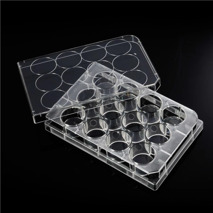 6/12/24/36/48/96-Well TC Treated Cell Culture Plates
