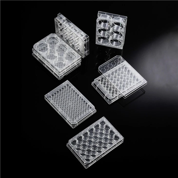 6/12/24/36/48/96-Well TC Treated Cell Culture Plates