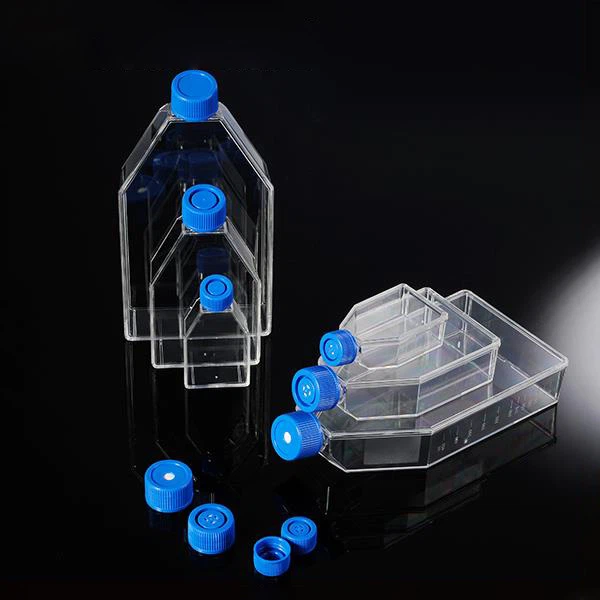 25 75 175 সেমি 2 টিিটু সেল সংস্কৃতি বোতল