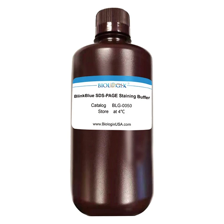 Biologix BlinkBlue™ প্রোটিন দাগ বাফার