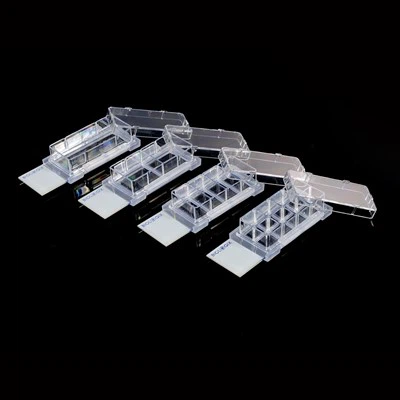 কাচ স্লাইডে সেল সংস্কৃতি স্লাইড / সেল কালচার মাইক্রোস্কোপ স্লাইড / সেল কালচার