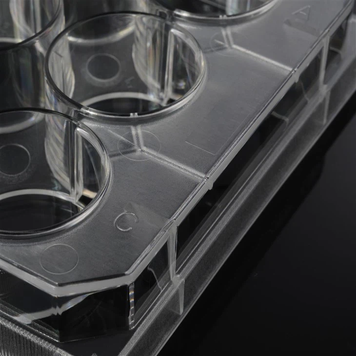 TC Treated Cell Culture Plates